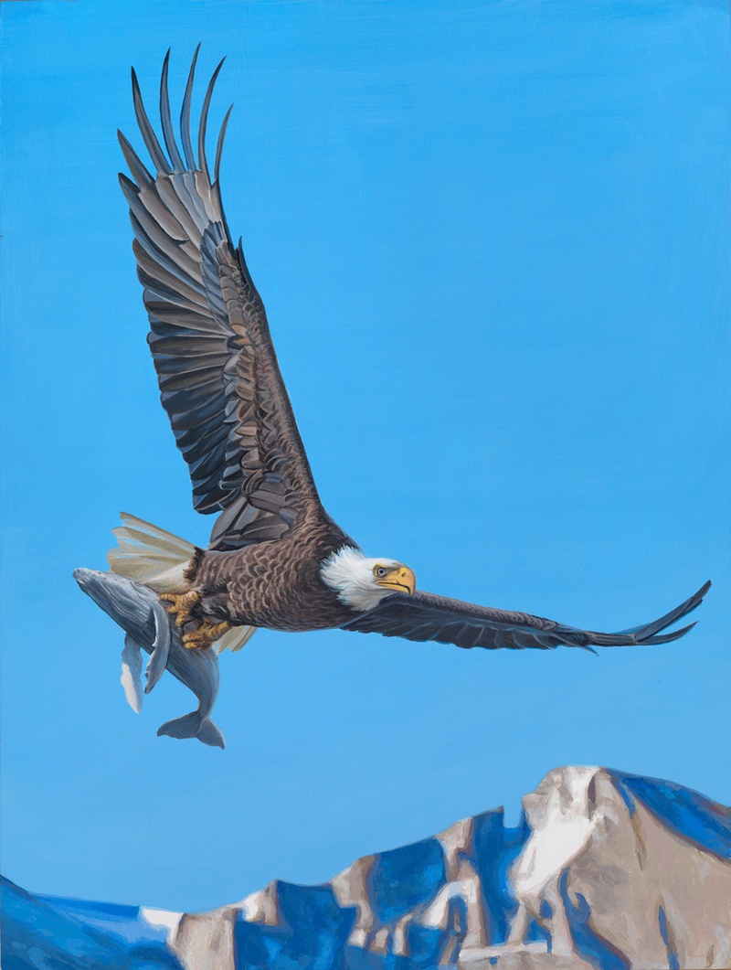 Carousel Image number 5